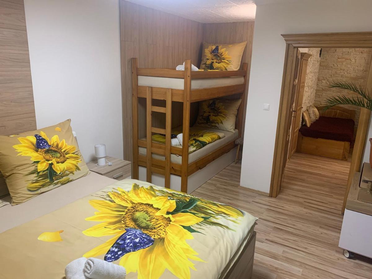 Apartman Slunecnice S Terasou Czeskie Budziejowice Zewnętrze zdjęcie