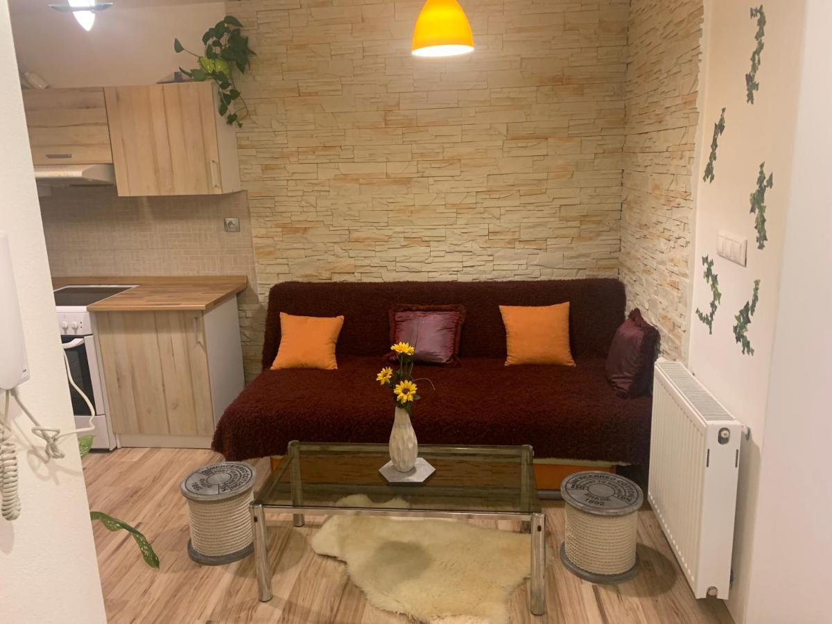 Apartman Slunecnice S Terasou Czeskie Budziejowice Zewnętrze zdjęcie