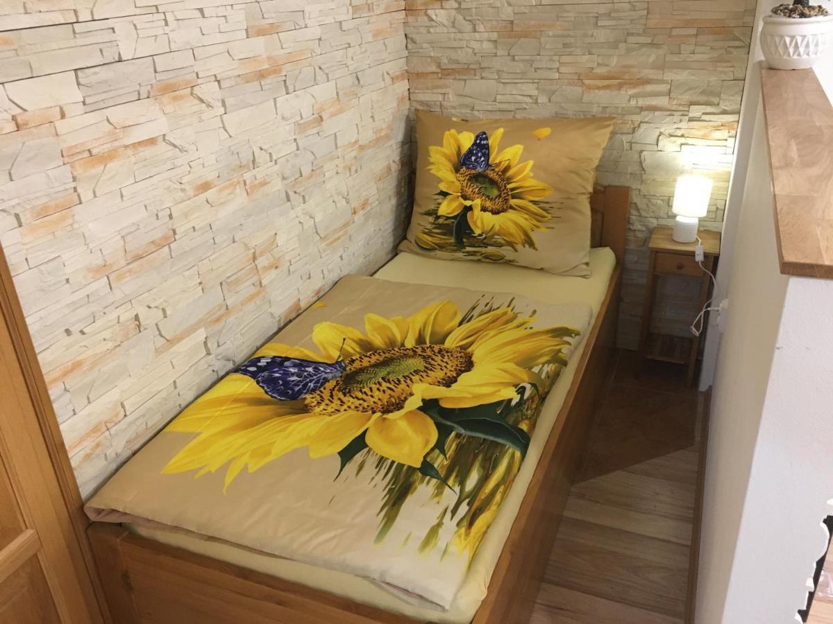 Apartman Slunecnice S Terasou Czeskie Budziejowice Zewnętrze zdjęcie