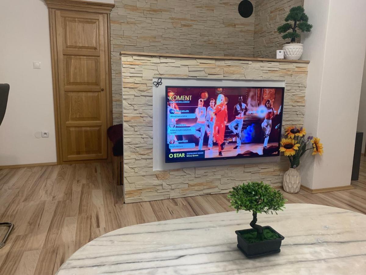 Apartman Slunecnice S Terasou Czeskie Budziejowice Zewnętrze zdjęcie