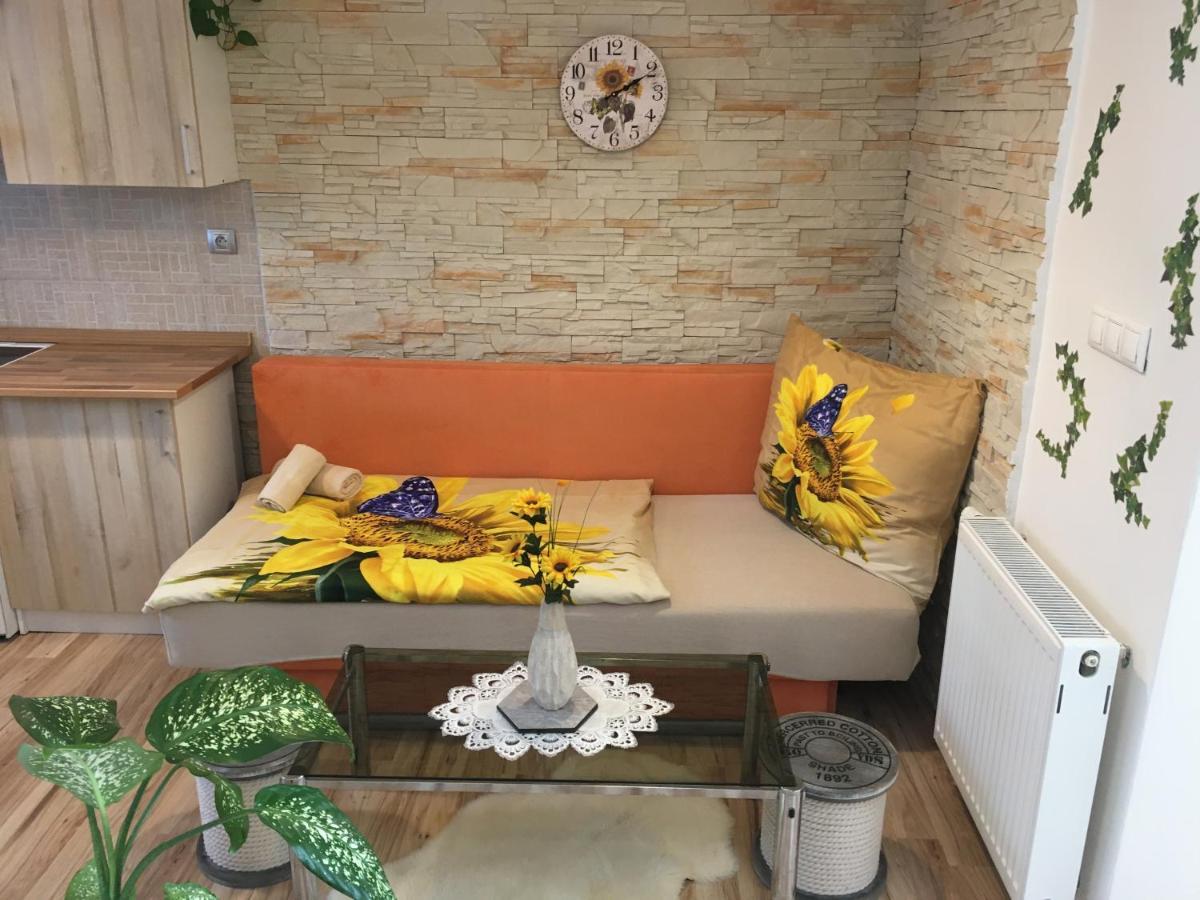 Apartman Slunecnice S Terasou Czeskie Budziejowice Zewnętrze zdjęcie