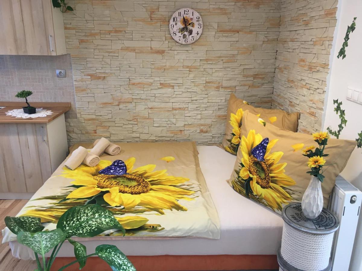 Apartman Slunecnice S Terasou Czeskie Budziejowice Zewnętrze zdjęcie