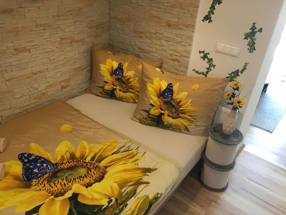 Apartman Slunecnice S Terasou Czeskie Budziejowice Zewnętrze zdjęcie