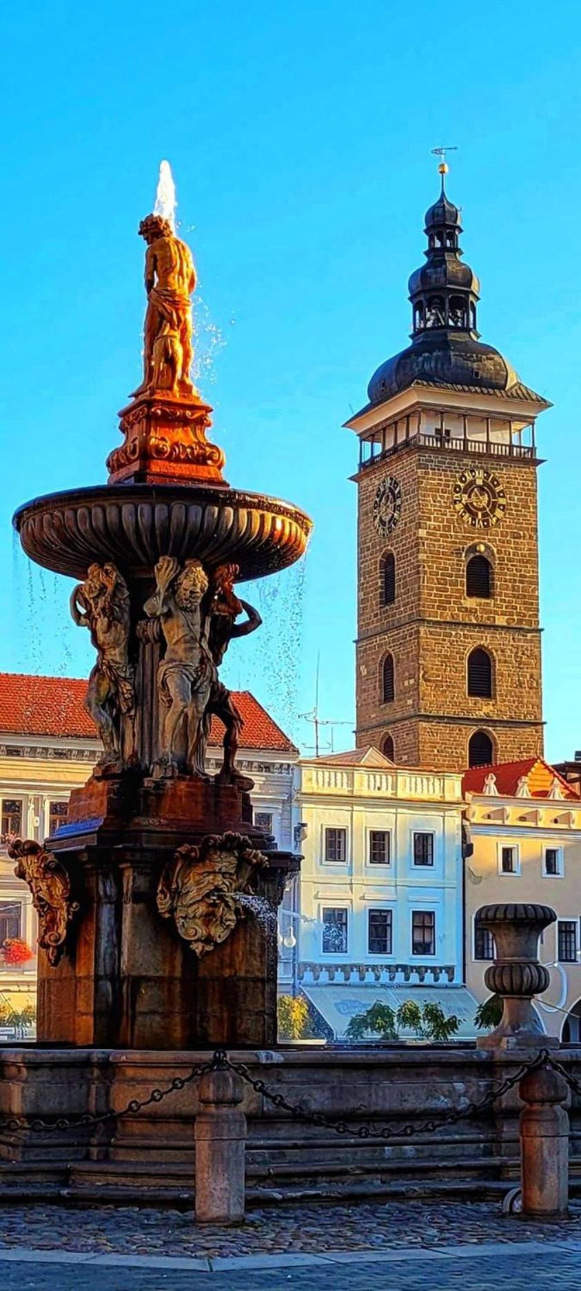 Apartman Slunecnice S Terasou Czeskie Budziejowice Zewnętrze zdjęcie
